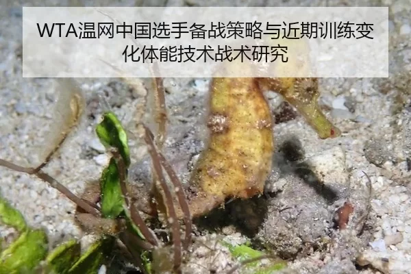 WTA温网中国选手备战策略与近期训练变化体能技术战术研究